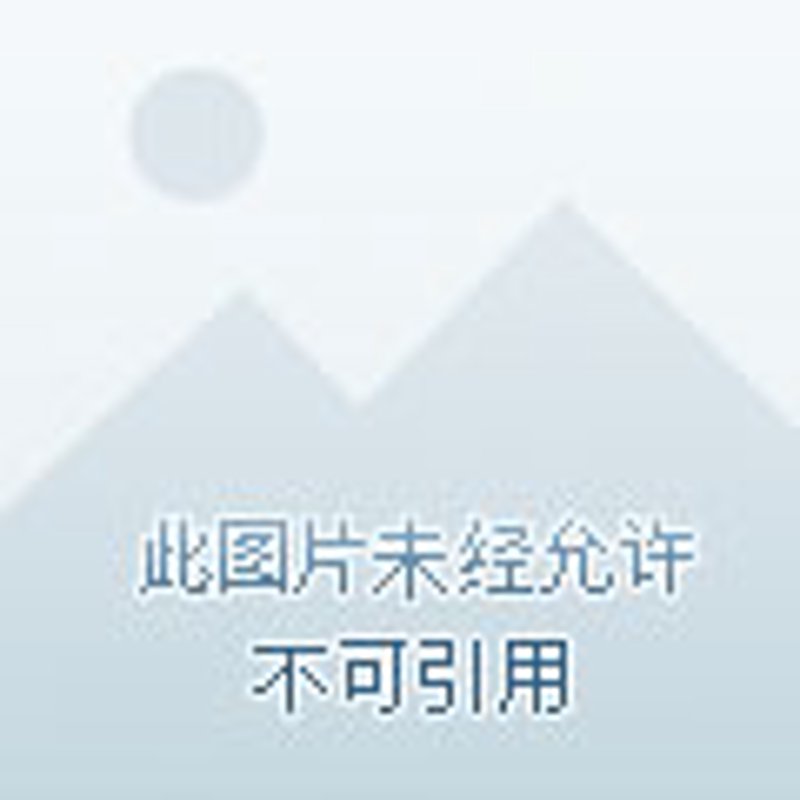 探秘天堂纪念网:在线缅怀的新篇章